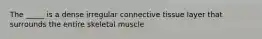 The _____ is a dense irregular connective tissue layer that surrounds the entire skeletal muscle