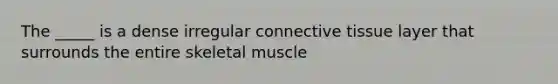 The _____ is a dense irregular <a href='https://www.questionai.com/knowledge/kYDr0DHyc8-connective-tissue' class='anchor-knowledge'>connective tissue</a> layer that surrounds the entire skeletal muscle