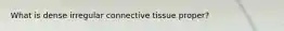 What is dense irregular connective tissue proper?