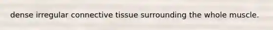 dense irregular connective tissue surrounding the whole muscle.