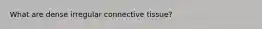 What are dense irregular connective tissue?