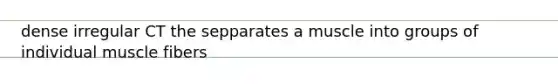 dense irregular CT the sepparates a muscle into groups of individual muscle fibers