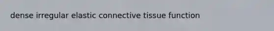 dense irregular elastic connective tissue function