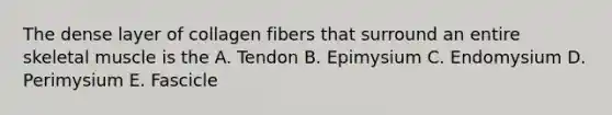 The dense layer of collagen fibers that surround an entire skeletal muscle is the A. Tendon B. Epimysium C. Endomysium D. Perimysium E. Fascicle