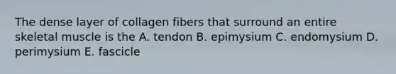 The dense layer of collagen fibers that surround an entire skeletal muscle is the A. tendon B. epimysium C. endomysium D. perimysium E. fascicle