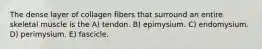 The dense layer of collagen fibers that surround an entire skeletal muscle is the A) tendon. B) epimysium. C) endomysium. D) perimysium. E) fascicle.