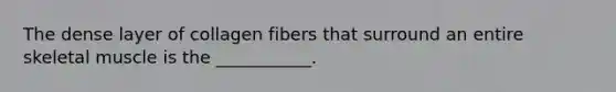 The dense layer of collagen fibers that surround an entire skeletal muscle is the ___________.