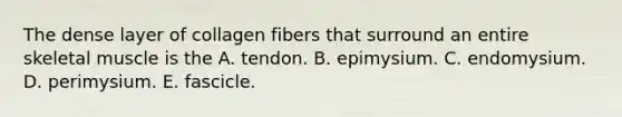 The dense layer of collagen fibers that surround an entire skeletal muscle is the A. tendon. B. epimysium. C. endomysium. D. perimysium. E. fascicle.