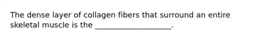 The dense layer of collagen fibers that surround an entire skeletal muscle is the ____________________.