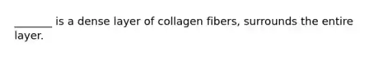 _______ is a dense layer of collagen fibers, surrounds the entire layer.