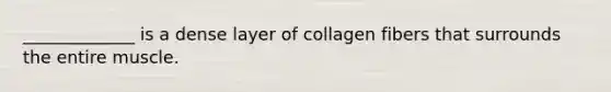 _____________ is a dense layer of collagen fibers that surrounds the entire muscle.
