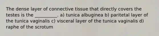 The dense layer of connective tissue that directly covers the testes is the __________. a) tunica albuginea b) paritetal layer of the tunica vaginalis c) visceral layer of the tunica vaginalis d) raphe of the scrotum