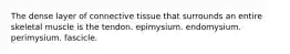 The dense layer of connective tissue that surrounds an entire skeletal muscle is the tendon. epimysium. endomysium. perimysium. fascicle.