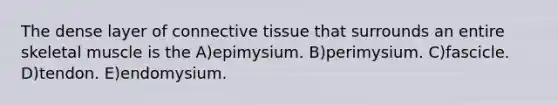 The dense layer of <a href='https://www.questionai.com/knowledge/kYDr0DHyc8-connective-tissue' class='anchor-knowledge'>connective tissue</a> that surrounds an entire skeletal muscle is the A)epimysium. B)perimysium. C)fascicle. D)tendon. E)endomysium.