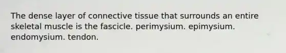 The dense layer of connective tissue that surrounds an entire skeletal muscle is the fascicle. perimysium. epimysium. endomysium. tendon.