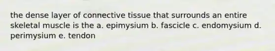 the dense layer of connective tissue that surrounds an entire skeletal muscle is the a. epimysium b. fascicle c. endomysium d. perimysium e. tendon