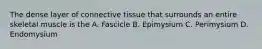 The dense layer of connective tissue that surrounds an entire skeletal muscle is the A. Fascicle B. Epimysium C. Perimysium D. Endomysium