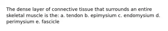 The dense layer of <a href='https://www.questionai.com/knowledge/kYDr0DHyc8-connective-tissue' class='anchor-knowledge'>connective tissue</a> that surrounds an entire skeletal muscle is the: a. tendon b. epimysium c. endomysium d. perimysium e. fascicle