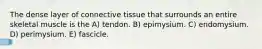 The dense layer of connective tissue that surrounds an entire skeletal muscle is the A) tendon. B) epimysium. C) endomysium. D) perimysium. E) fascicle.