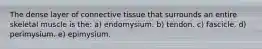 The dense layer of connective tissue that surrounds an entire skeletal muscle is the: a) endomysium. b) tendon. c) fascicle. d) perimysium. e) epimysium.