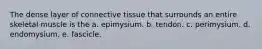 The dense layer of connective tissue that surrounds an entire skeletal muscle is the a. epimysium. b. tendon. c. perimysium. d. endomysium. e. fascicle.