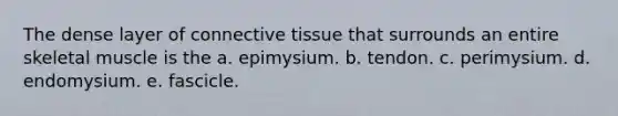 The dense layer of connective tissue that surrounds an entire skeletal muscle is the a. epimysium. b. tendon. c. perimysium. d. endomysium. e. fascicle.