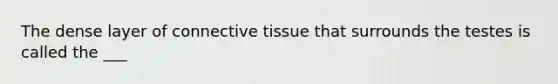 The dense layer of connective tissue that surrounds the testes is called the ___