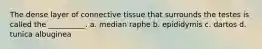 The dense layer of connective tissue that surrounds the testes is called the __________. a. median raphe b. epididymis c. dartos d. tunica albuginea