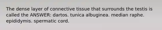 The dense layer of connective tissue that surrounds the testis is called the ANSWER: dartos. tunica albuginea. median raphe. epididymis. spermatic cord.