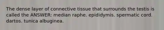 The dense layer of connective tissue that surrounds the testis is called the ANSWER: median raphe. epididymis. spermatic cord. dartos. tunica albuginea.