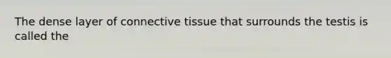 The dense layer of connective tissue that surrounds the testis is called the