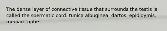 The dense layer of connective tissue that surrounds the testis is called the spermatic cord. tunica albuginea. dartos. epididymis. median raphe.