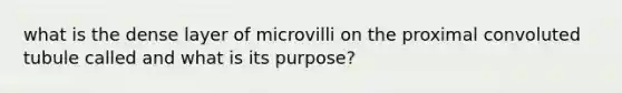 what is the dense layer of microvilli on the proximal convoluted tubule called and what is its purpose?