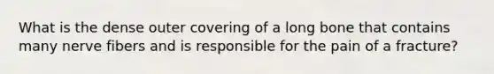 What is the dense outer covering of a long bone that contains many nerve fibers and is responsible for the pain of a fracture?