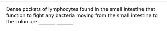 Dense pockets of lymphocytes found in the small intestine that function to fight any bacteria moving from the small intestine to the colon are _______ _______.
