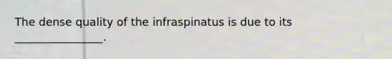 The dense quality of the infraspinatus is due to its ________________.