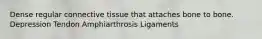 Dense regular connective tissue that attaches bone to bone. Depression Tendon Amphiarthrosis Ligaments