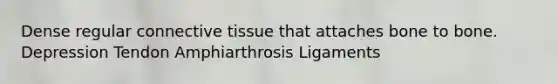 Dense regular <a href='https://www.questionai.com/knowledge/kYDr0DHyc8-connective-tissue' class='anchor-knowledge'>connective tissue</a> that attaches bone to bone. Depression Tendon Amphiarthrosis Ligaments