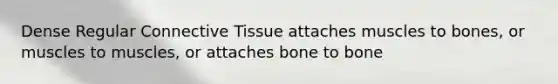 Dense Regular <a href='https://www.questionai.com/knowledge/kYDr0DHyc8-connective-tissue' class='anchor-knowledge'>connective tissue</a> attaches muscles to bones, or muscles to muscles, or attaches bone to bone