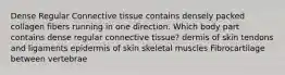 Dense Regular Connective tissue contains densely packed collagen fibers running in one direction. Which body part contains dense regular connective tissue? dermis of skin tendons and ligaments epidermis of skin skeletal muscles Fibrocartilage between vertebrae