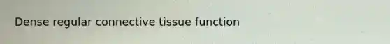 Dense regular connective tissue function