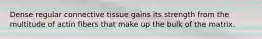 Dense regular connective tissue gains its strength from the multitude of actin fibers that make up the bulk of the matrix.