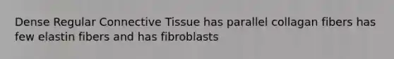 Dense Regular Connective Tissue has parallel collagan fibers has few elastin fibers and has fibroblasts