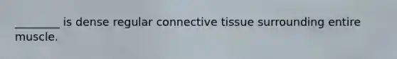 ________ is dense regular connective tissue surrounding entire muscle.