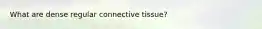 What are dense regular connective tissue?