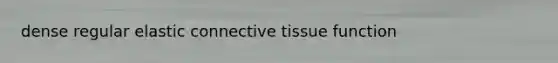 dense regular elastic connective tissue function