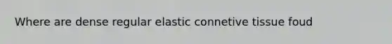 Where are dense regular elastic connetive tissue foud