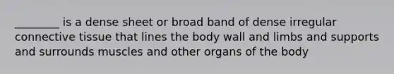 ________ is a dense sheet or broad band of dense irregular connective tissue that lines the body wall and limbs and supports and surrounds muscles and other organs of the body