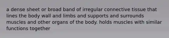 a dense sheet or broad band of irregular connective tissue that lines the body wall and limbs and supports and surrounds muscles and other organs of the body. holds muscles with similar functions together