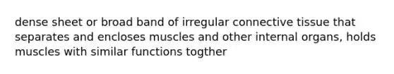 dense sheet or broad band of irregular connective tissue that separates and encloses muscles and other internal organs, holds muscles with similar functions togther